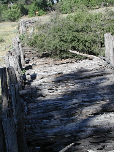 Log bridge in Linyanti 